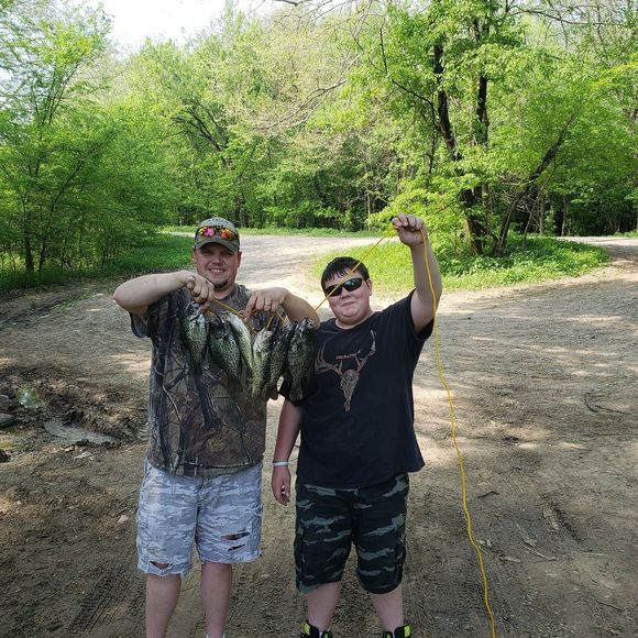 Meet your Posher, Kevin - Picture 1 of 1